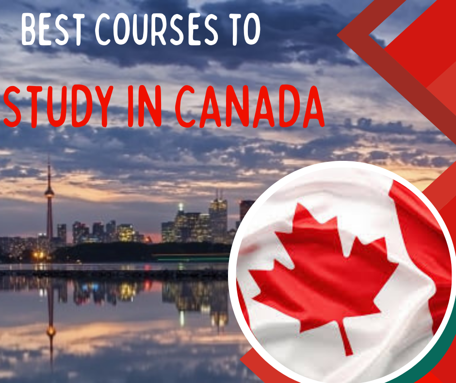 Best Courses to Pursue in Canada 2024