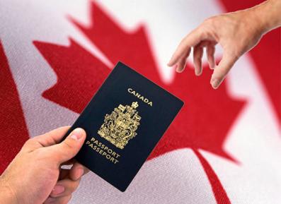 Immigrate to Canada: Tips for Provincial Nominee Program in Canada