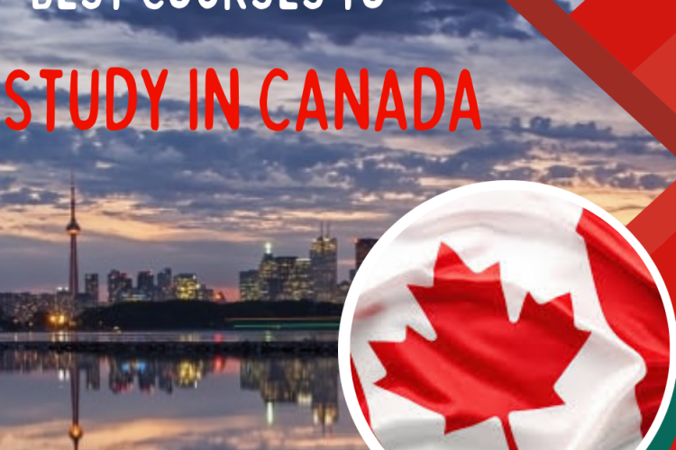 Best Courses to Pursue in Canada 2024