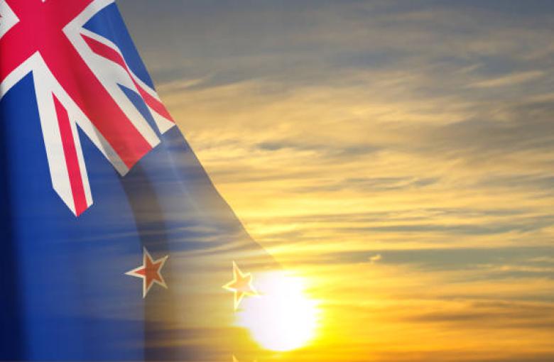 How New Zealand Prepares You for the Future Job Market