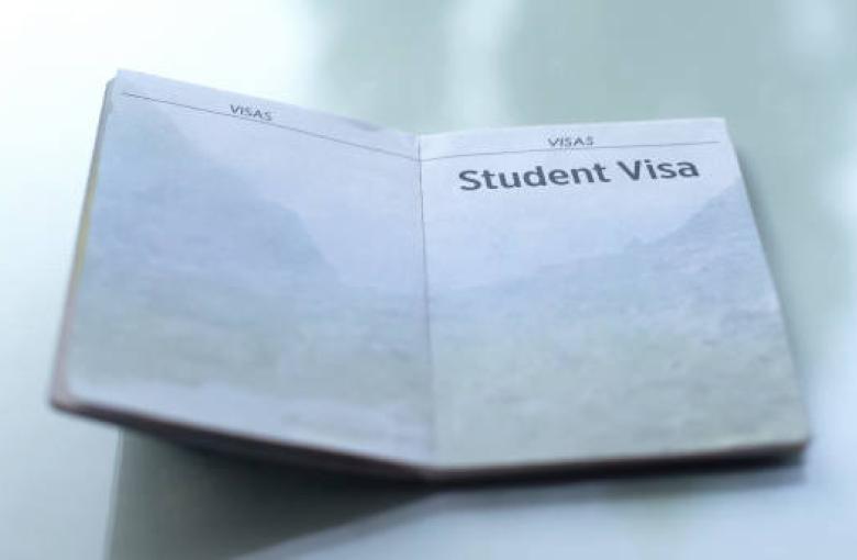 Visa Success Rate for Study Abroad: Trends, Stats & Strategy