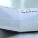 Visa Success Rate for Study Abroad: Trends, Stats & Strategy
